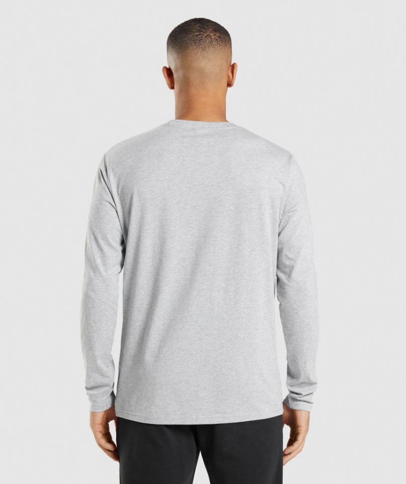 Men's Gymshark Crest Long Sleeve T-Shirts Light Grey | CA 057316